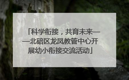 科学衔接，共育未来——北碚区龙凤教管中心开展幼小衔接交流活动