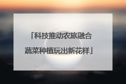 科技推动农旅融合 蔬菜种植玩出新花样