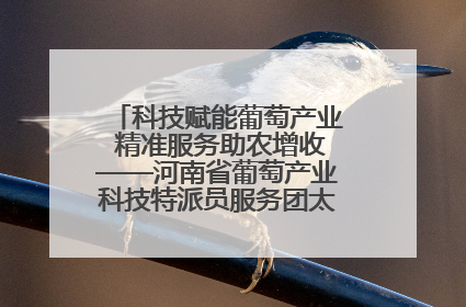 科技赋能葡萄产业 精准服务助农增收——河南省葡萄产业科技特派员服务团太康县科技服务纪实