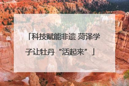 科技赋能非遗 菏泽学子让牡丹“活起来”