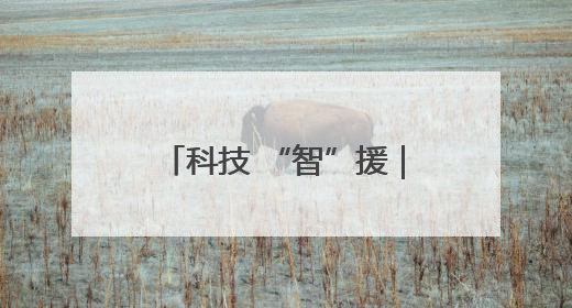 科技 “智”援｜毛剑锋：十年深耕，铸剑铸造创新之路