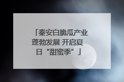 秦安白脆瓜产业蓬勃发展 开启夏日“甜蜜季”
