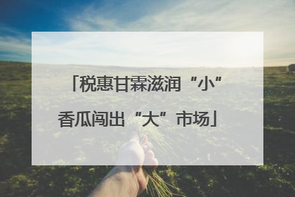 税惠甘霖滋润“小”香瓜闯出“大”市场