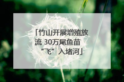 竹山开展增殖放流 30万尾鱼苗“飞”入堵河