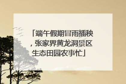 端午假期冒雨插秧，张家界黄龙洞景区生态田园农事忙