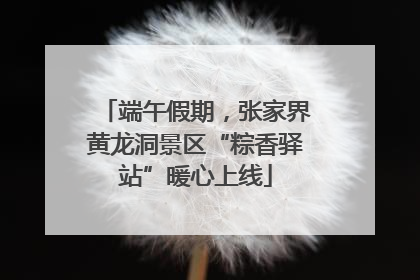 端午假期，张家界黄龙洞景区“粽香驿站”暖心上线
