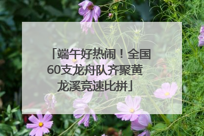 端午好热闹！全国60支龙舟队齐聚黄龙溪竞速比拼