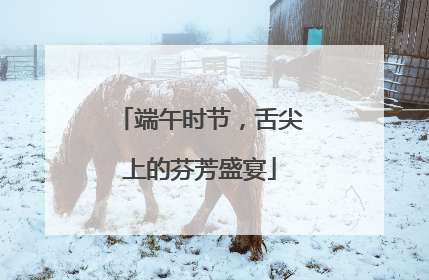 端午时节，舌尖上的芬芳盛宴