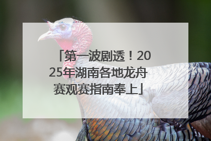 第一波剧透！2025年湖南各地龙舟赛观赛指南奉上