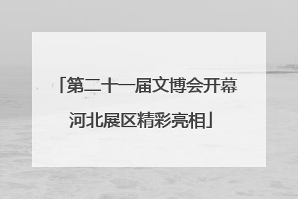 第二十一届文博会开幕 河北展区精彩亮相
