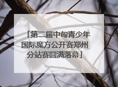 第二届中匈青少年国际魔方公开赛郑州分站赛圆满落幕