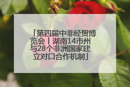 第四届中非经贸博览会丨湖南14市州与28个非洲国家建立对口合作机制