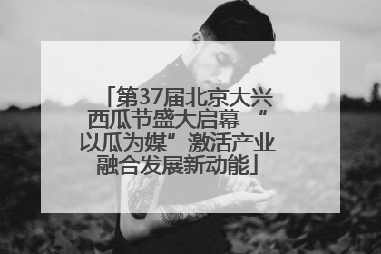 第37届北京大兴西瓜节盛大启幕 “以瓜为媒”激活产业融合发展新动能