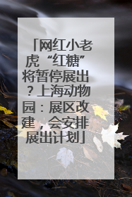 网红小老虎“红糖”将暂停展出？上海动物园：展区改建，会安排展出计划