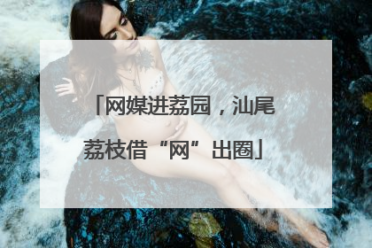 网媒进荔园，汕尾荔枝借“网”出圈
