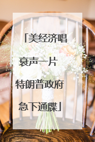 美经济唱衰声一片 特朗普政府急下通牒