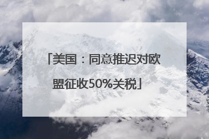 美国：同意推迟对欧盟征收50%关税