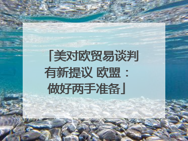 美对欧贸易谈判有新提议 欧盟：做好两手准备