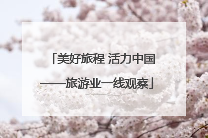 美好旅程 活力中国——旅游业一线观察