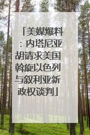 美媒爆料：内塔尼亚胡请求美国斡旋以色列与叙利亚新政权谈判