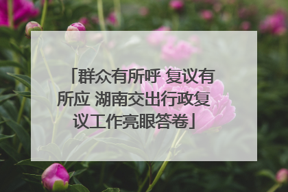 群众有所呼 复议有所应 湖南交出行政复议工作亮眼答卷