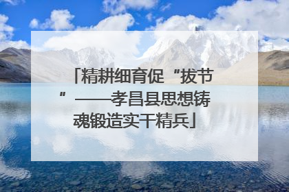 精耕细育促“拔节”——孝昌县思想铸魂锻造实干精兵
