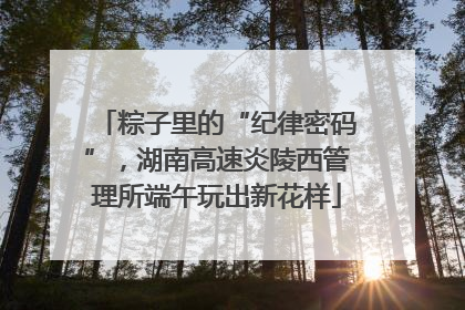 粽子里的“纪律密码”，湖南高速炎陵西管理所端午玩出新花样