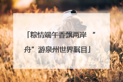 粽情端午香飘两岸 “舟”游泉州世界瞩目