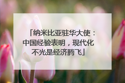 纳米比亚驻华大使：中国经验表明，现代化不光是经济腾飞