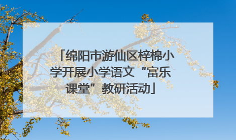 绵阳市游仙区梓棉小学开展小学语文“富乐课堂”教研活动
