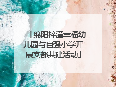 绵阳梓潼幸福幼儿园与自强小学开展支部共建活动