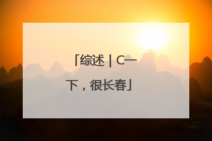 综述｜C一下，很长春