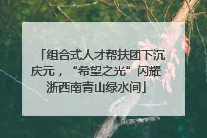 组合式人才帮扶团下沉庆元，“希望之光”闪耀浙西南青山绿水间
