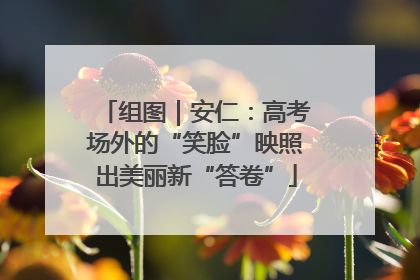 组图｜安仁：高考场外的“笑脸”映照出美丽新“答卷”