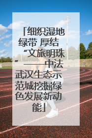 细织湿地绿带 厚结“文旅明珠”——中法武汉生态示范城挖掘绿色发展新动能