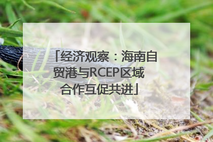 经济观察：海南自贸港与RCEP区域合作互促共进