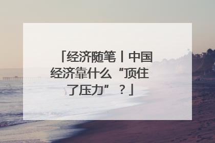 经济随笔丨中国经济靠什么“顶住了压力”？