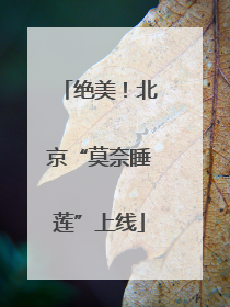 绝美！北京“莫奈睡莲”上线