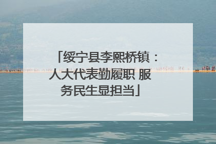 绥宁县李熙桥镇：人大代表勤履职 服务民生显担当