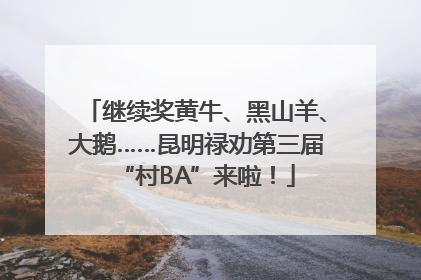 继续奖黄牛、黑山羊、大鹅……昆明禄劝第三届“村BA”来啦！