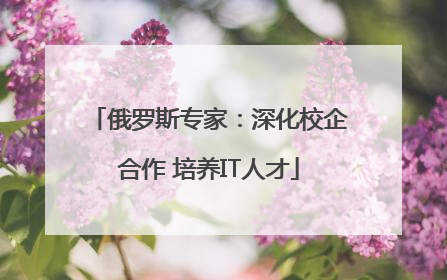 俄罗斯专家：深化校企合作 培养IT人才