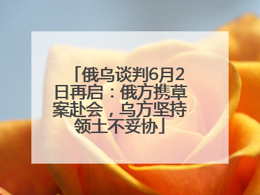 俄乌谈判6月2日再启：俄方携草案赴会，乌方坚持领土不妥协