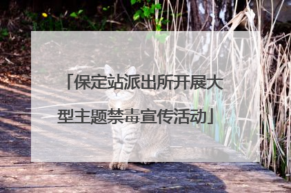 保定站派出所开展大型主题禁毒宣传活动