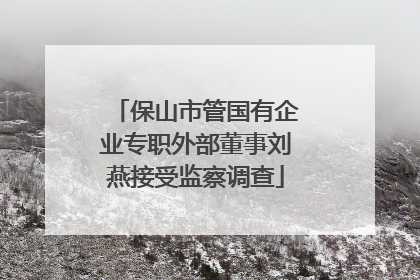 保山市管国有企业专职外部董事刘燕接受监察调查