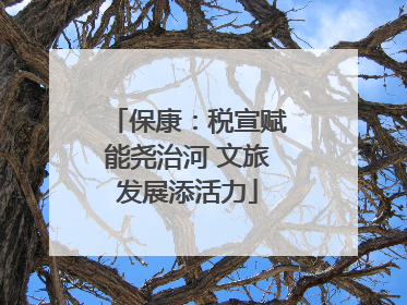 保康：税宣赋能尧治河 文旅发展添活力