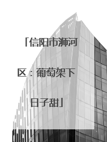 信阳市浉河区：葡萄架下日子甜