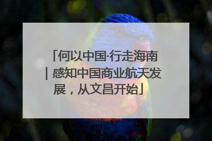 何以中国·行走海南｜感知中国商业航天发展，从文昌开始