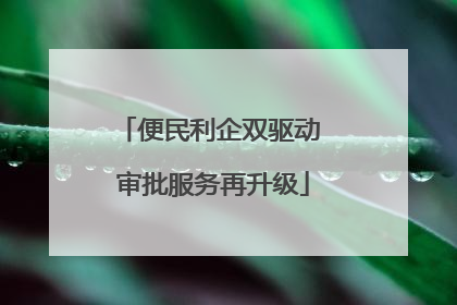 便民利企双驱动 审批服务再升级