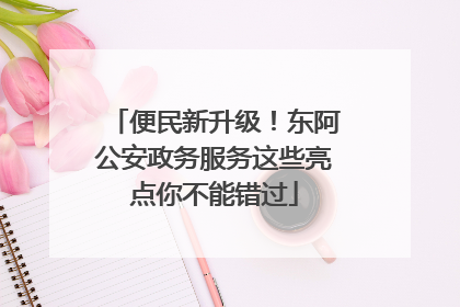 便民新升级！东阿公安政务服务这些亮点你不能错过