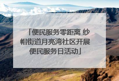 便民服务零距离 纱帽街道月亮湾社区开展便民服务日活动